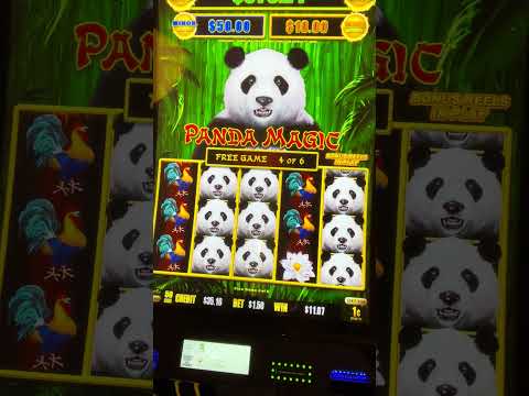 Discover Exciting Games and Bonuses at Spinpanda Casino Discover Exciting Games and Bonuses at Spinpanda Casino